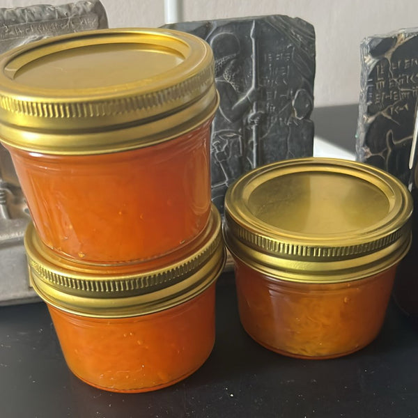 Aphra's Carrot Jam (مربا هویج)
