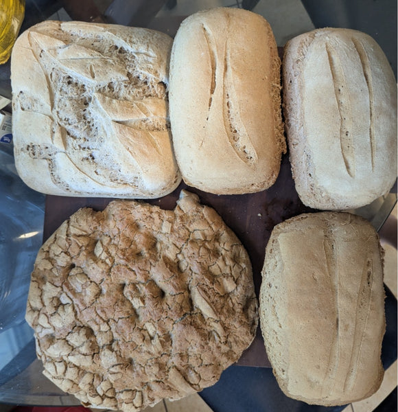 CF Foods Beer Bread