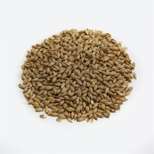 Briess Malting Pilsen Malt