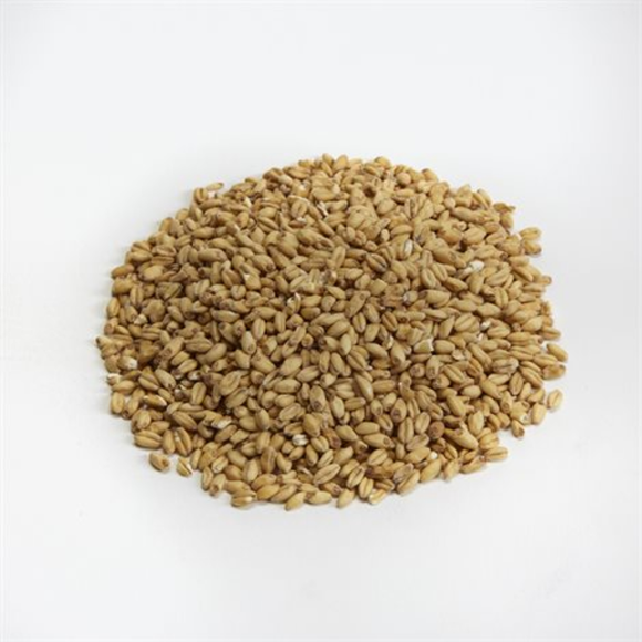 Briess Malting BM - White Wheat Malt