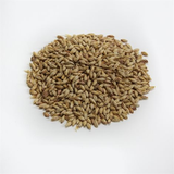 Briess Malting Aromatic Munich Malt