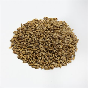 Briess Malting Carapils Malt