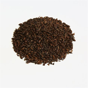 Briess Malting BM - Roasted Barley