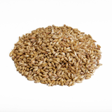 Canada Malting Corporation Munich Malt