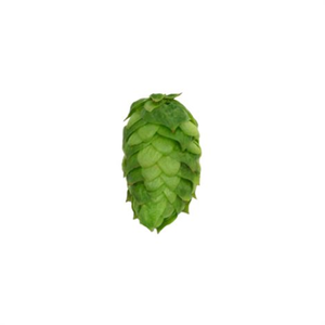 Yakima Chief Hops Simcoe US Pellet