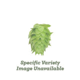 Yakima Chief Hops German Hallertau US Pellet