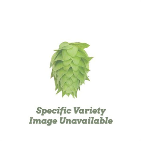 Yakima Chief Hops Summit™ Brand US Pellet