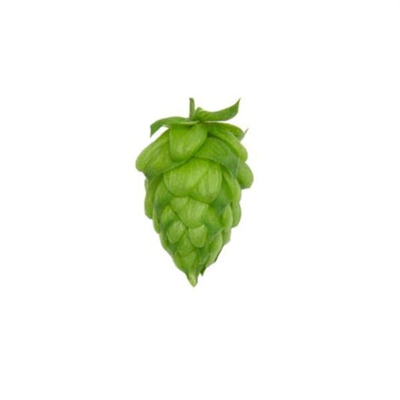 Yakima Chief Hops Willamette US Pellet